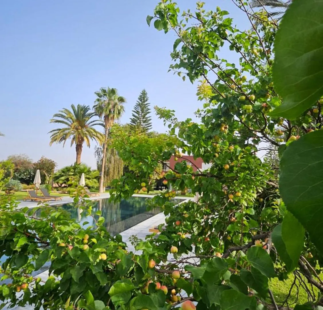 Villa Fima Kech Morocco